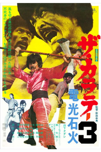 The Karate 3 movie poster