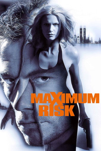 Maximum Risk movie poster