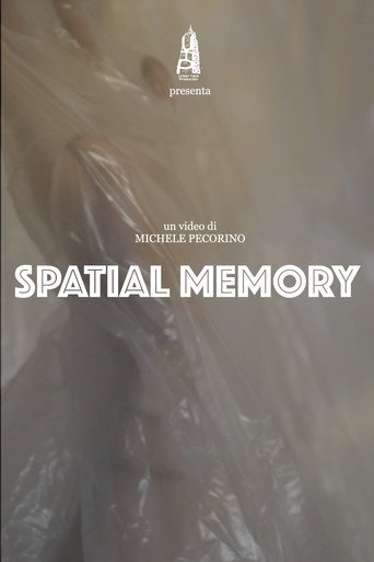 Spatial Memory movie poster