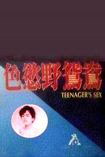 Teenager's Sex movie poster