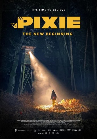 Pixie. The New Beginning movie poster