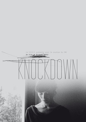 Knockdown movie poster