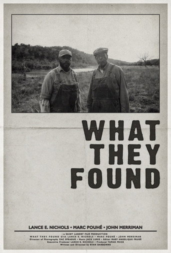 What They Found movie poster
