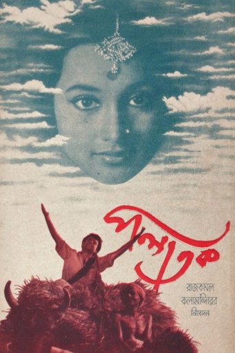 Palatak movie poster