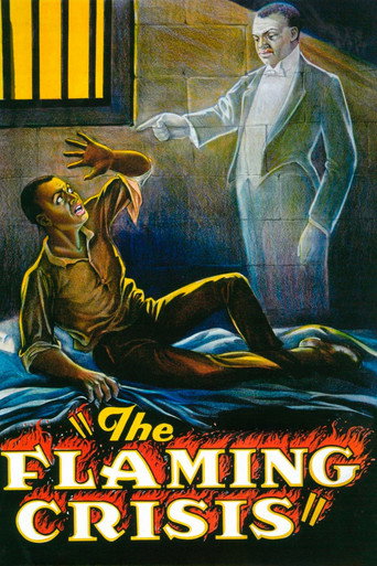 The Flaming Crisis movie poster