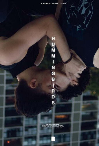 Hummingbirds movie poster