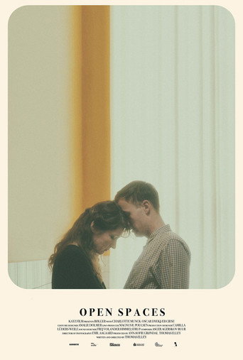 Open Spaces movie poster