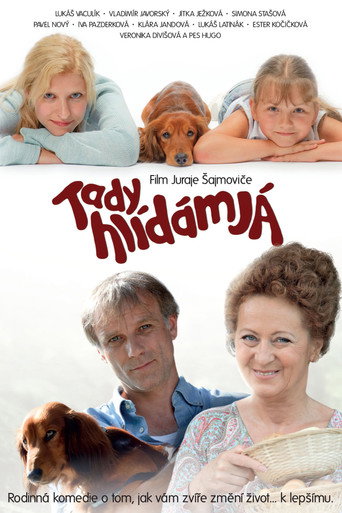 Tady hlídám já movie poster