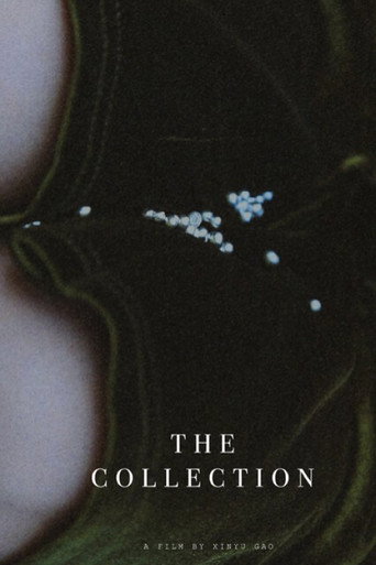 The Collection movie poster