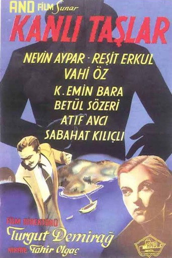 Kanlı Taşlar movie poster