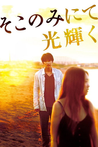 The Light Shines Only There movie poster