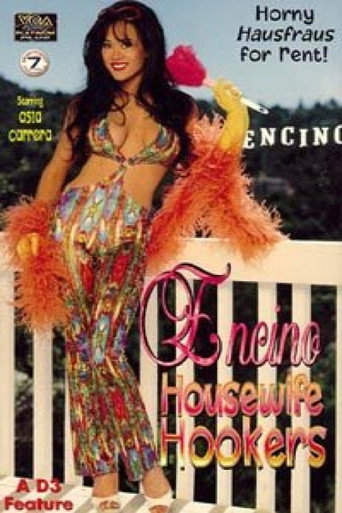 Encino Housewife Hookers movie poster