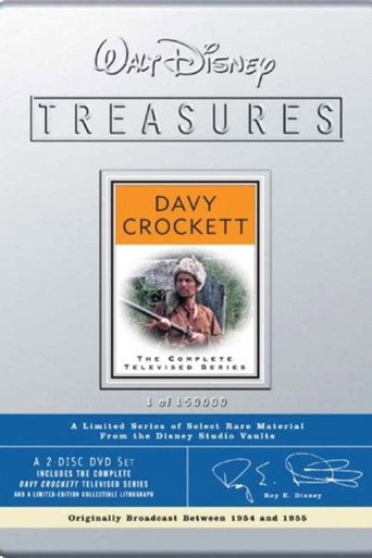 The Crockett Craze movie poster