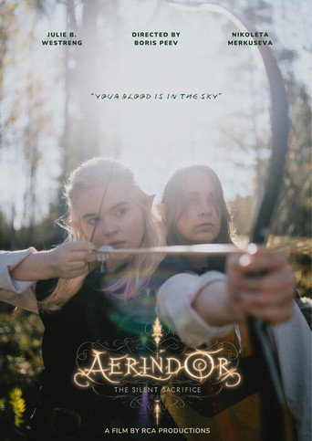 Aerindor: The silent sacrifice movie poster