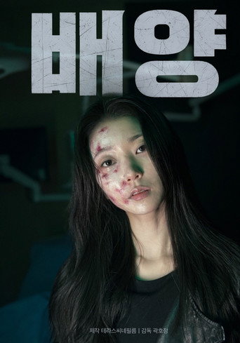 Culture movie poster