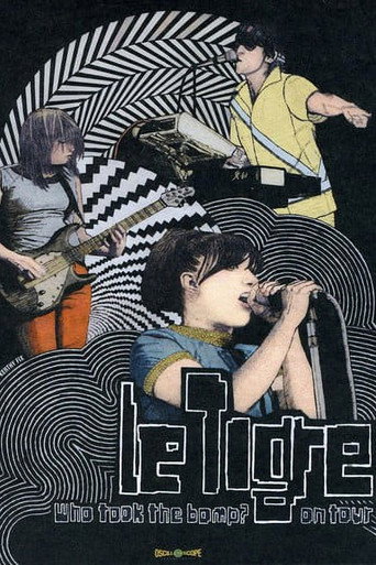Who Took the Bomp? Le Tigre on Tour movie poster