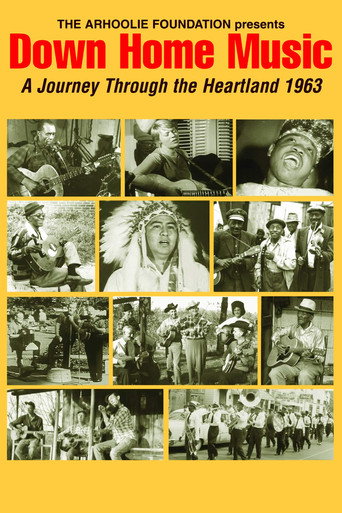 Down Home Music - A Journey Through the Heartland movie poster