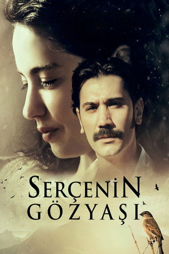 The Sparrow's Tear movie poster