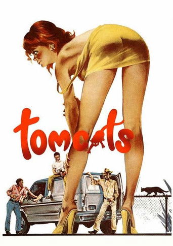 Tomcats movie poster