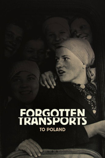 Forgotten Transports to Poland movie poster