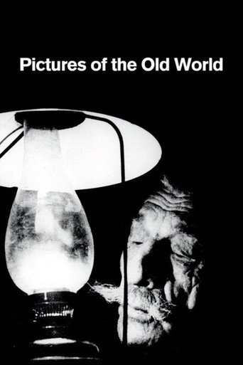 Pictures of the Old World movie poster