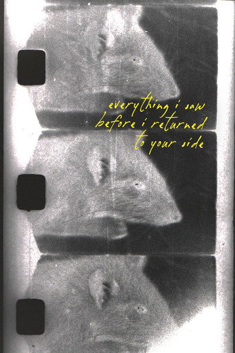 everything i saw before i returned to your side movie poster