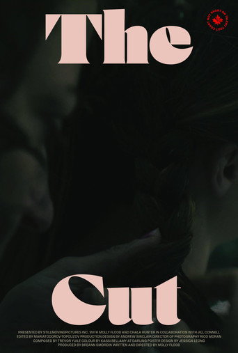 The Cut movie poster