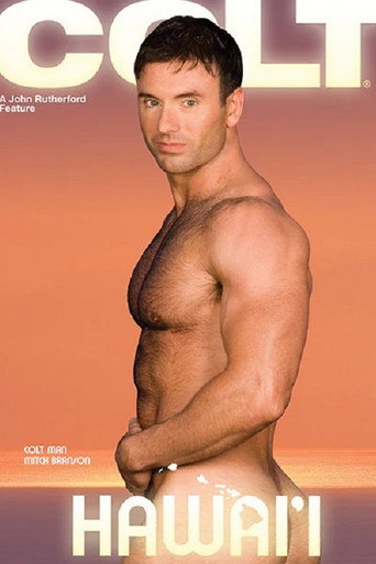 Hawai'i movie poster