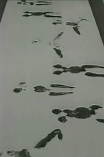 Anthropometries of the Blue Period and Fire Paintings movie poster