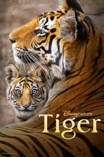 Tiger movie poster