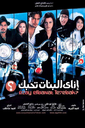How to Get Girls to Fall for You movie poster