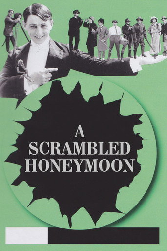 A Scrambled Honeymoon movie poster
