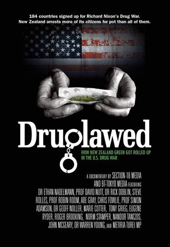 Druglawed movie poster