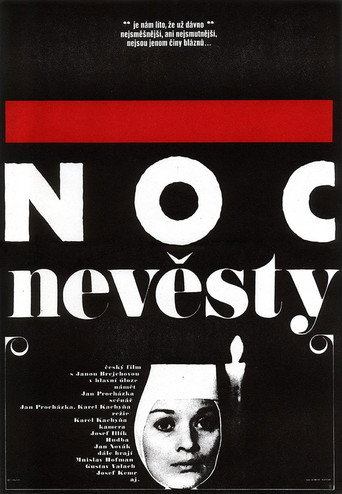 The Nun's Night movie poster