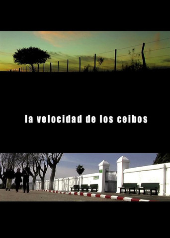 The Speed of the Ceibos movie poster