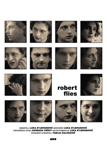 Robert Flies movie poster
