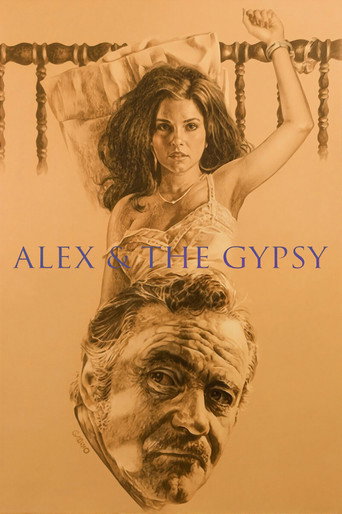 Alex & the Gypsy movie poster