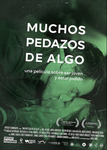 Many Pieces of Something movie poster