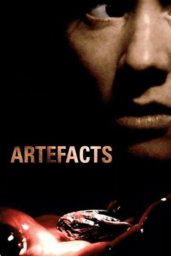 Artifacts movie poster