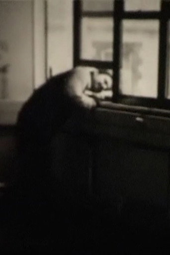 The Last Films of Humphrey Esterhase movie poster