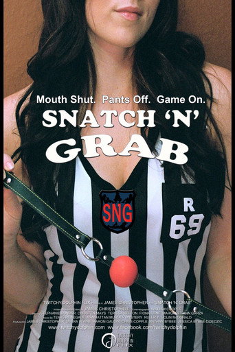 Snatch N Grab movie poster