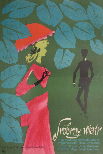 Silvery Wind movie poster