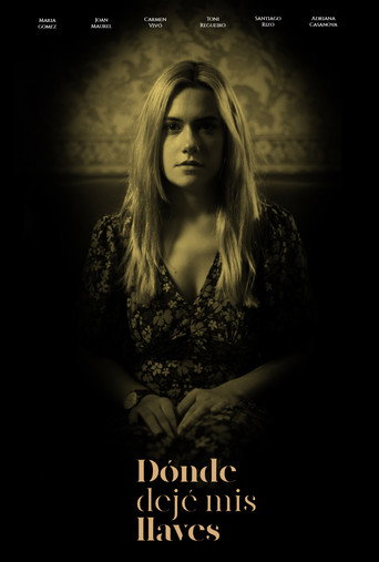 Where Did I Leave My Keys? movie poster