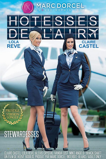 Stewardesses movie poster