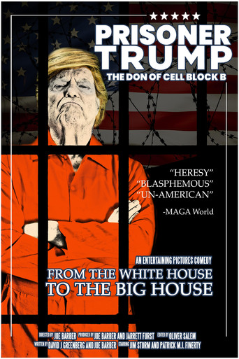 Prisoner Trump: The Don of Cell Block B movie poster