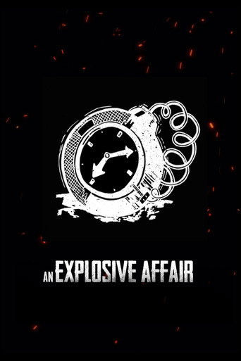 An Explosive Affair movie poster