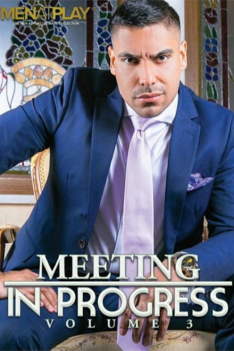 Meeting in Progress 3 movie poster