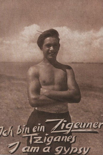 Ich bin ein Zigeuner movie poster