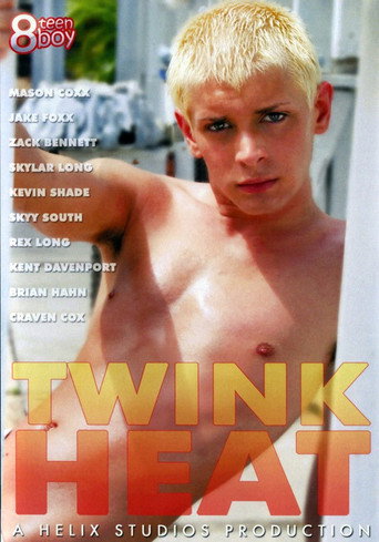 Twink Heat movie poster