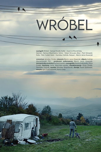 Sparrow movie poster